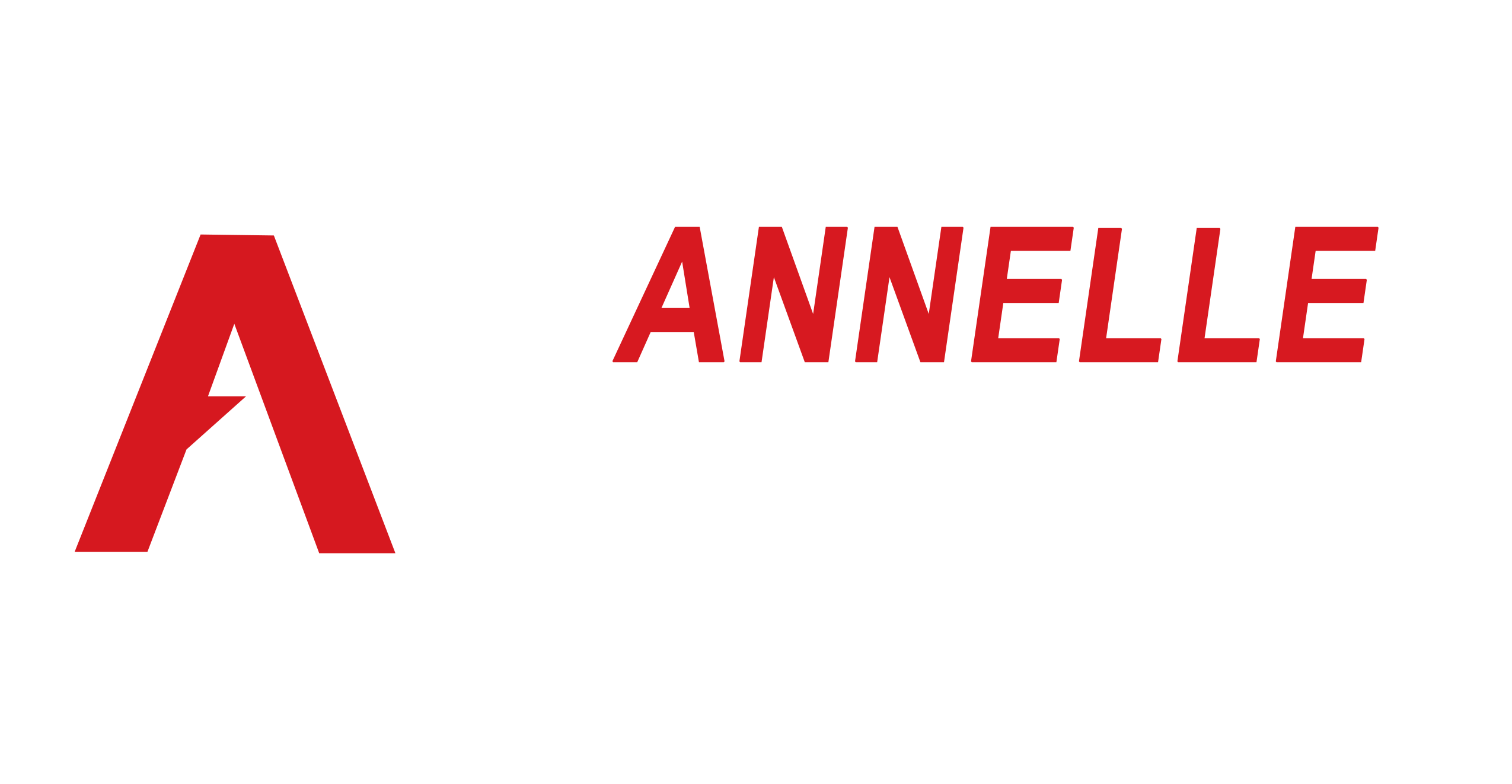 Annelle Digital Annelle Digital